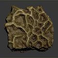 Natural Honeybee Honeycomb With Brownish Yellow Color And Intricate Hexagonal Cells