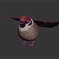 Modern sparrow, finch, bird 3d model