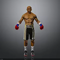 Muscular Man As Boxer Wearing Red Boxing Gloves And Black Gold Champ Shorts