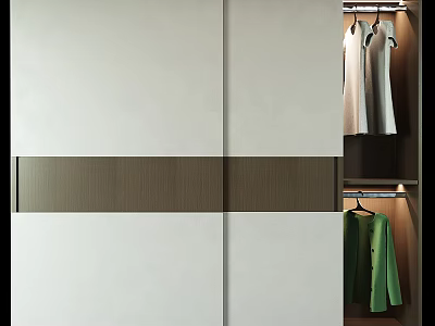 Modern Sliding Door Wardrobe Design With White Panels Wood Grain Accent And Hanging Clothes 3d model