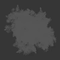 Lush Green Leafy Shrub With Natural Height Measurement And Dense Foliage Appearance