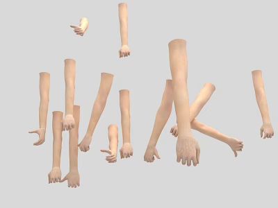 Realistic 3D Models of Arms and Hands with Various Poses and Details 3d model