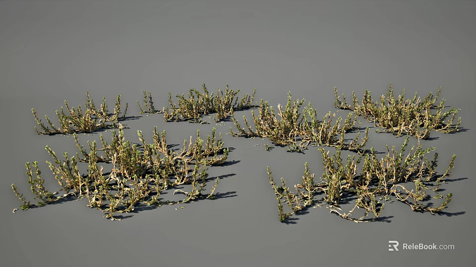 Clumped Wild Grass and Flowers with Varied Stems and Foliage on Gray Surface 3d model 