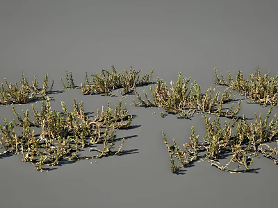 Clumped Wild Grass and Flowers with Varied Stems and Foliage on Gray Surface 3d model
