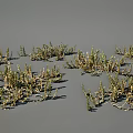 Clumped Wild Grass and Flowers with Varied Stems and Foliage on Gray Surface