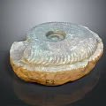 Chi chrysanthemum stone ancient fossil stone chrysanthemum fossil items 3d model