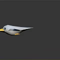 Flying White Bird With Yellow Beak Blue White Wings And Blue Trails On Gray Background