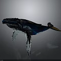 Whale Sculpture Featuring Deep Blue Black with Orange Accents Metallic Texture on Metal Stand Base