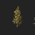 Three Beautiful Arbor Trees With Golden Leaves In Natural Landscape View