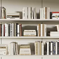 Neatly Arranged Books on White Shelves with Various Colors and Tidy Rows