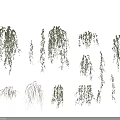 Green Hanging Vines With Lush Leaves And Various Decorative Design Styles