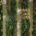 Stunning Living Plant Wall Design With Diverse Greenery And Colorful Blooms