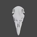 Detailed White Bird Skull Isolated On Dark Background With Intricate Features 3d model