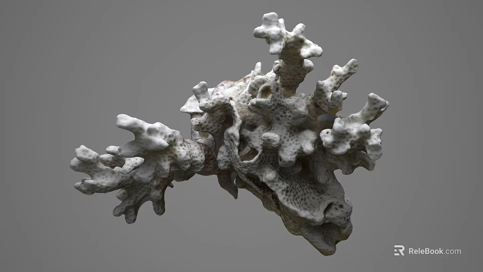 Vibrant Marine Aquatic Animals Thriving in Natural Coral Reef Habitat with Intricate Structures 3d model 