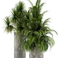 Lush Green Potted Plants In Decorative Ceramic Planters With Intricate Patterns 3d model