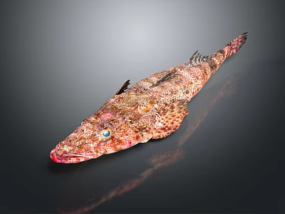 Red Spotted Aquatic Fish With Blue Eyes Long Body And Distinctive Markings 3d model