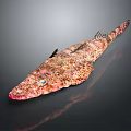 Red Spotted Aquatic Fish With Blue Eyes Long Body And Distinctive Markings