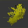 Green Decorative Plant With Lush Yellow Green Leaves And Branch Support Structure
