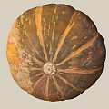 Fresh Orange Brown Pumpkin With Natural Texture And Stem On Top