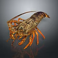 Detailed Lobster With Orange Claws Long Antennae And Dark Segmented Shell On Dark Background