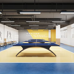 Table Tennis Activity Room 3d model