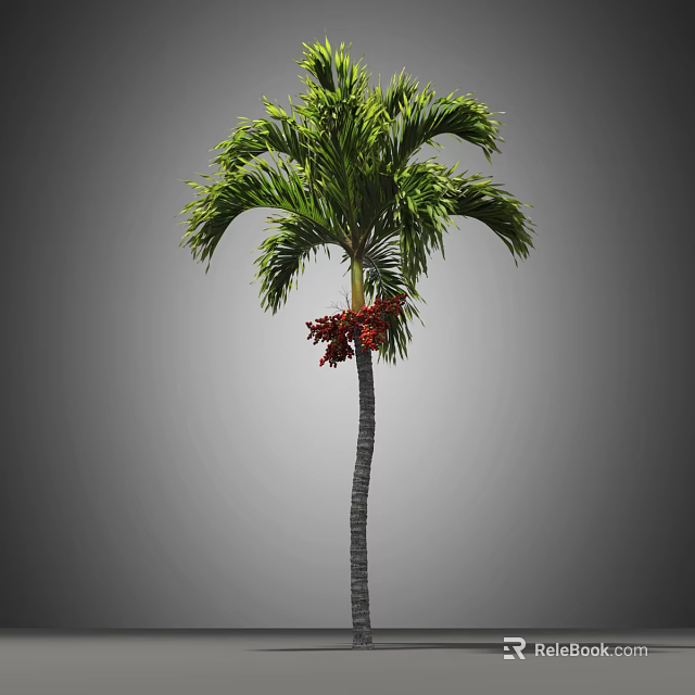 Tall Palm Tree With Green Fronds Red Fruits And Slender Trunk 3d model 
