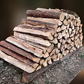 Split Hardwood Tree Logs Stacked as Firewood for Winter Use Preparation
