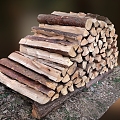 A pile of wood, wood, wood, wood, wood, wood, wood, wood, tree branches, tree trunks 3d model