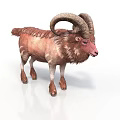 Ram With Large Curved Horns And Brown White Fur Standing On White Background