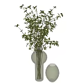 Transparent Glass Vases With Green Foliage And White Small Flowers In Different Sizes