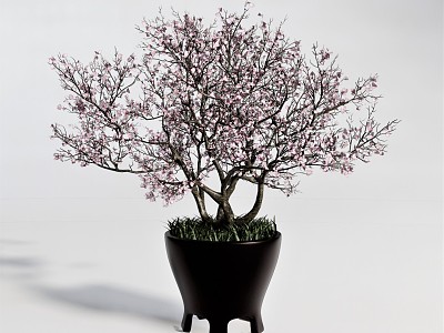 modern flowerpot potted plant trees vase green plant model