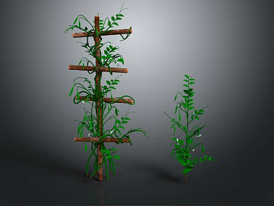 Wooden Climbing Frame With Green Vines And Leafy Plants For Garden Decor 3d model