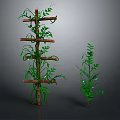 Wooden Climbing Frame With Green Vines And Leafy Plants For Garden Decor