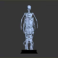 Medical Device Model Displaying Human Skeleton Walking Posture Evolution with Multiple Arranged Postures 3d model