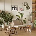 Indoor Plant Combinations With Large Leaf Potted Greenery And Home Decor Furniture In Living Space