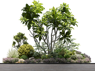 Modern shrub plant landscape cluster 3d model