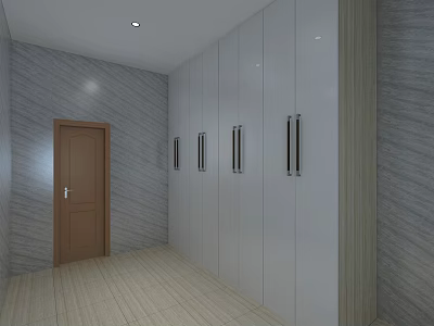 Hallway Interior With White Storage Cabinets Brown Door Gray Walls And Light Floor 3d model