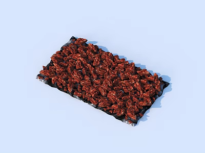 Healthy Red Dried Fruits Placed On Black Tray For Daily Home Use 3d model