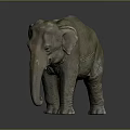 Detailed Grayish Green Textured Elephant Model Standing On Dark Background