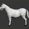 White Horse Standing Elegantly with Reflection on Gray Background in Realistic Render