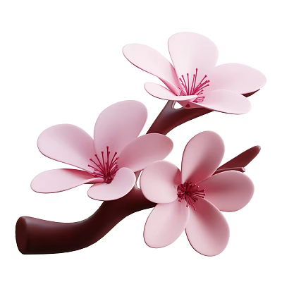 Pink Blossom Plant With Soft Pink Petals And Red Stamens On Brown Branches 3d model