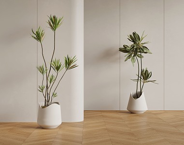 floor-standing potted plant 3d model