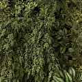 Lush Living Green Wall With Diverse Foliage And Fresh Greenery For Modern Indoor Decor