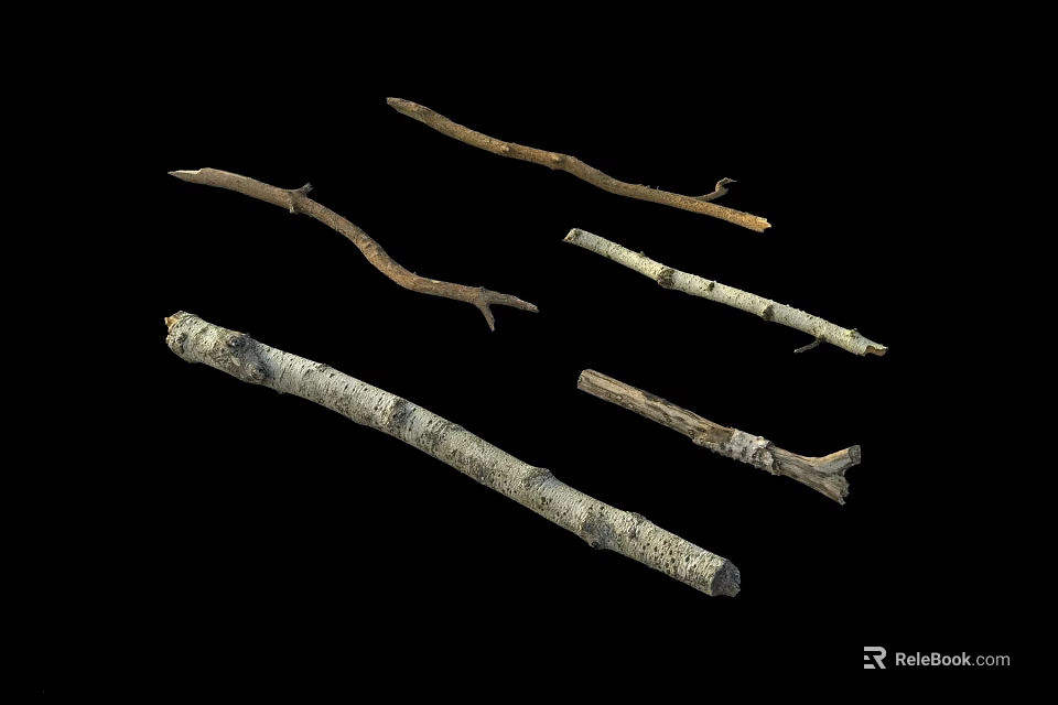 Natural Wooden Branches With Various Shapes And Textures On Black Background 3d model 