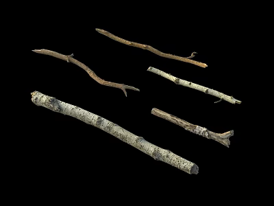 Natural Wooden Branches With Various Shapes And Textures On Black Background 3d model