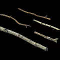 Natural Wooden Branches With Various Shapes And Textures On Black Background
