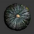 Single Blue Green Speckled Striped Pumpkin With Yellow Stem On Dark Background