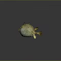 Spiky Round Pufferfish With Golden Green Body And Fins On Dark Background