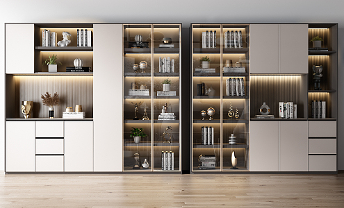 Modern bookcase combination 3d model