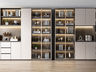 Modern bookcase combination 3d model